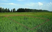 О завершении  агрохимического обследования Илишевского района