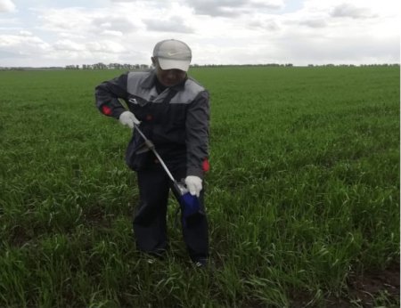 В Башкортостане начали исследовать плодородие земель