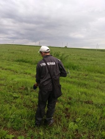 О завершении планового  агрохимического обследования  в Шаранском районе