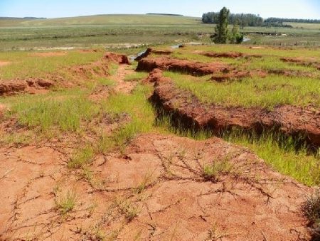 О причинах и последствиях деградации почвы