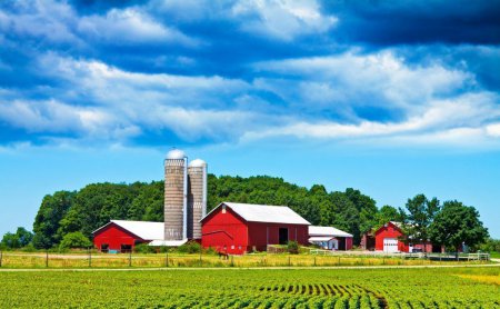 Сельское хозяйство с нуля, или реально ли поднять собственную ферму ?