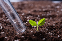 Взаимодействие азотных удобрений  с почвой