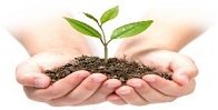 Роль агрохимической службы по сохранению плодородия почв в современных условиях